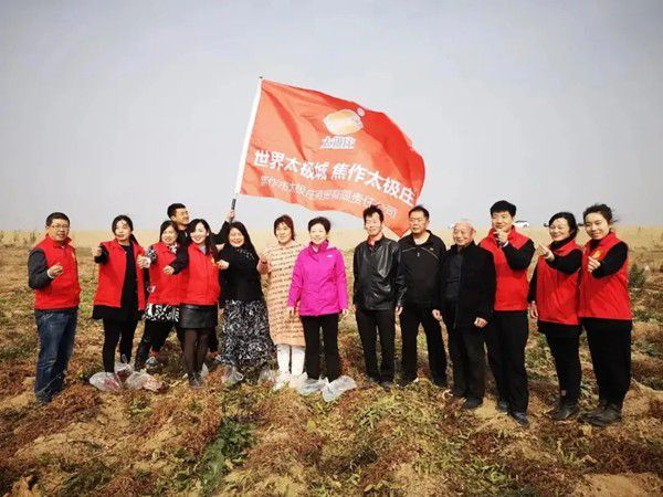 11月12日，眾人翹首以盼的太極莊山藥采挖活動在太極莊公司的溫縣·富硒鐵棍山藥標準化種植基地拉開帷幕